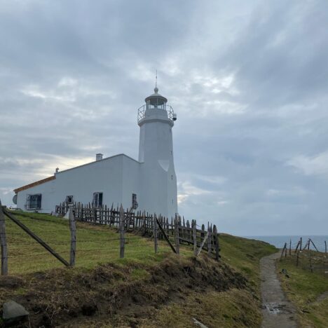 Jeden z najpiękniejszych dni jesieni – spacer w złocie przyrody