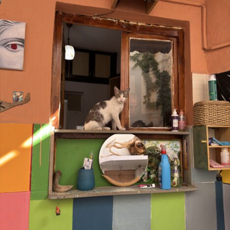 Zachwycający dzień w Sardes: historia Lidyjczyków i Krezusa